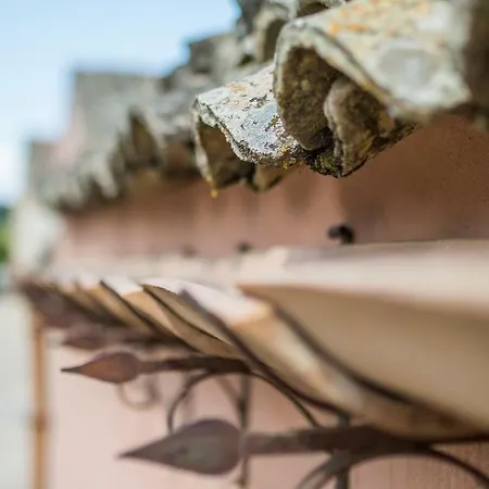 乡村民宿 D'andrea 卡尔塔吉罗