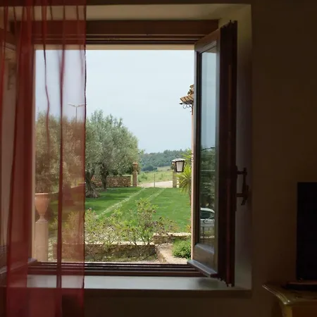 D'andrea 卡尔塔吉罗