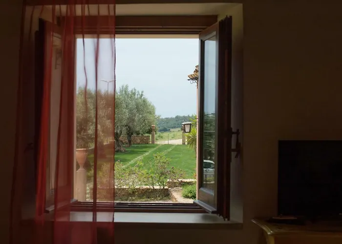 D'andrea 칼타기론